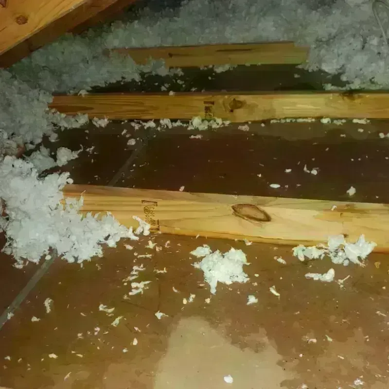 Attic Water Damage in Las Quintas Fronterizas, TX